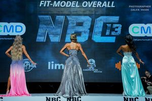 FIT-MODEL OVERALL